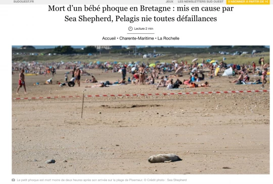 Phoque Ploeumer Sud-Ouest