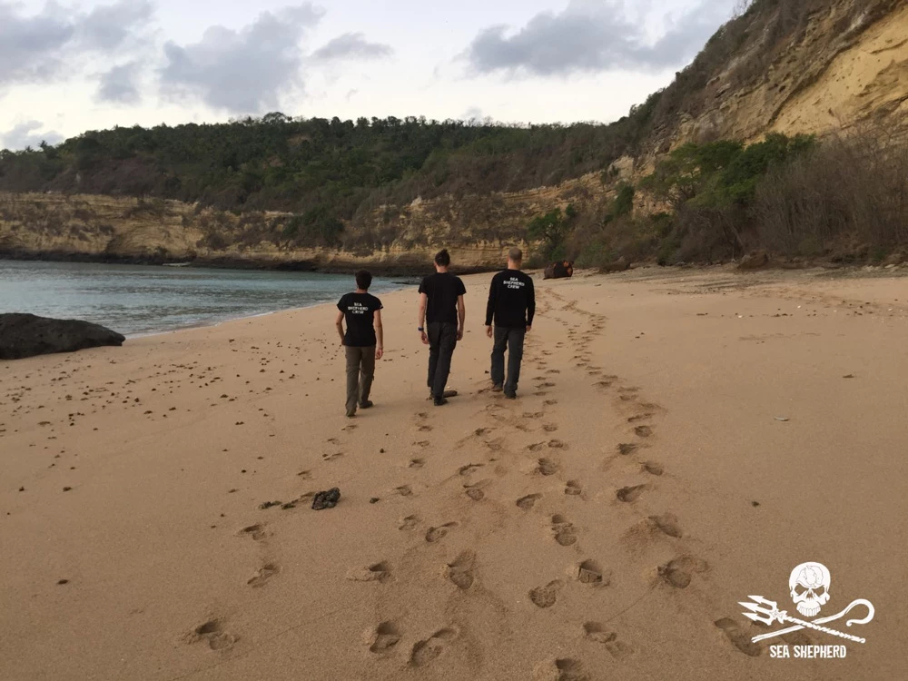 aide dons volontaire tortue france