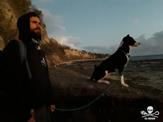 tortue ocean association mayotte france|tortue ocean association mayotte france nyamba|tortue ocean association mayotte france nyamba opération defense|tortue ocean association france nyamba