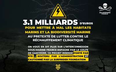 THT Très Haute Tension Interco France Espagne biodiversité réchauffement climatique|THT Très Haute Tension Interco France Espagne biodiversité réchauffement climatique|THT Très Haute Tension Interco France Espagne biodiversité réchauffement climatique|THT Très Haute Tension Interco France Espagne biodiversité réchauffement climatique|THT Très Haute Tension Interco France Espagne biodiversité réchauffement climatique|THT Très Haute Tension Interco France Espagne biodiversité réchauffement climatique|THT Très Haute Tension Interco France Espagne biodiversité réchauffement climatique