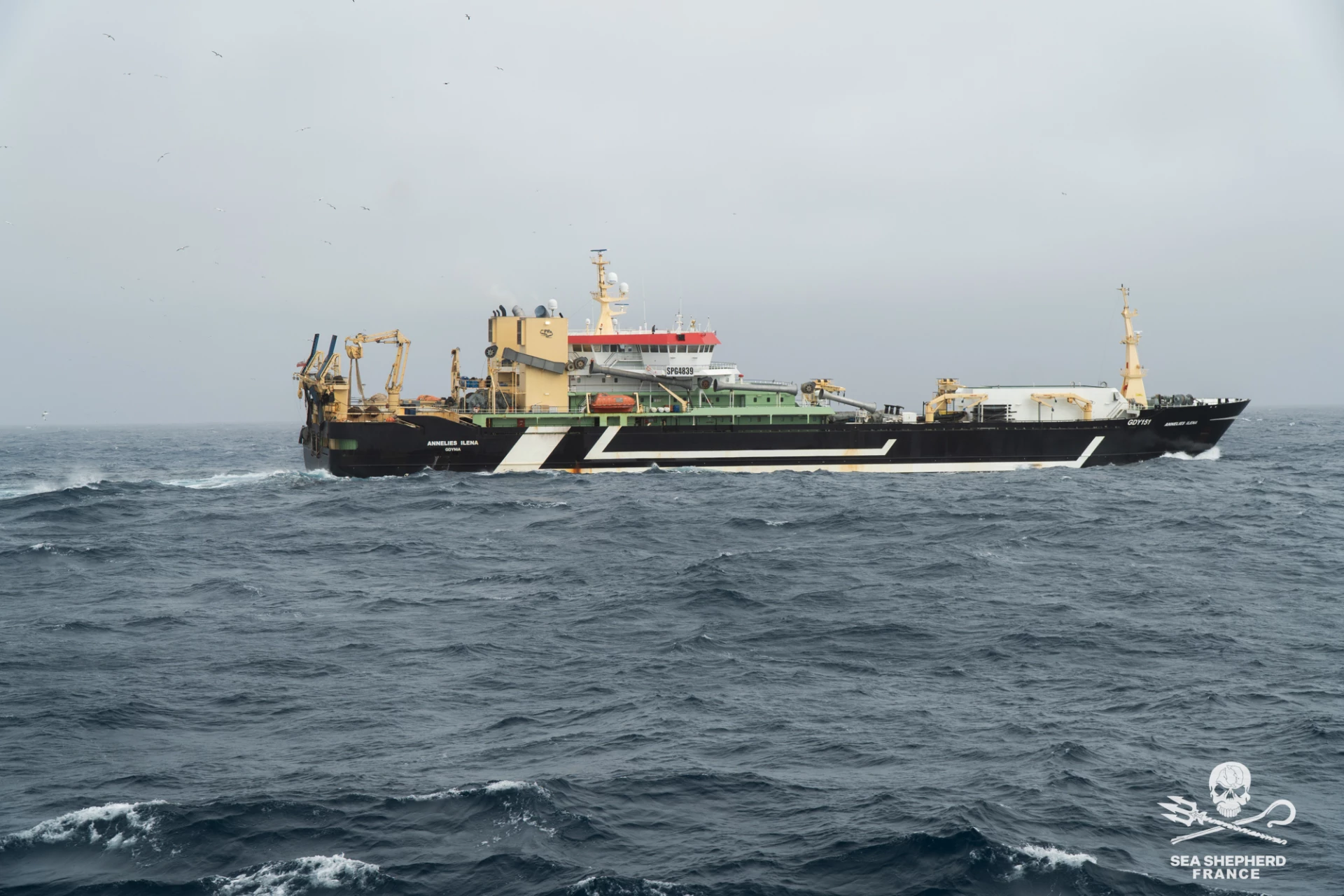 Annelies Ilena Saint-Malo