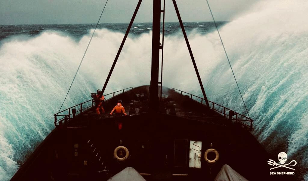 association ocean protection bateau