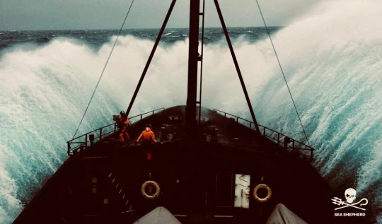 association ocean protection bateau