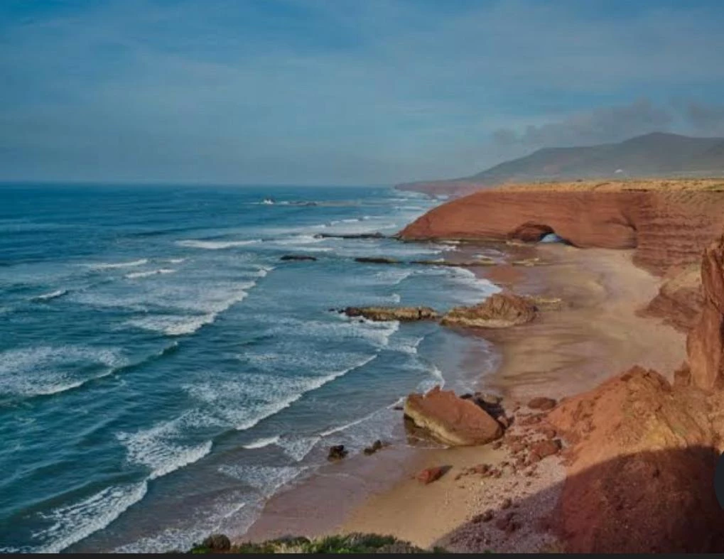 Maroc Sea Shepherd France biodiversité