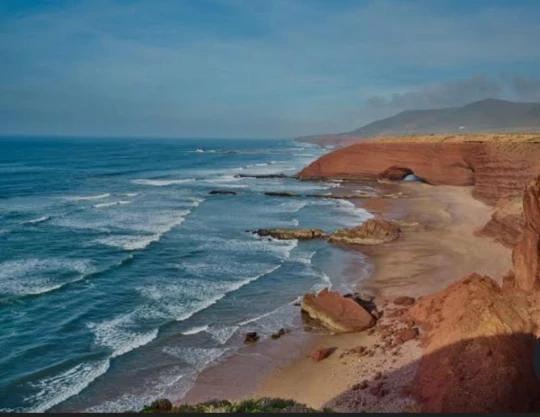 Maroc Sea Shepherd France biodiversité