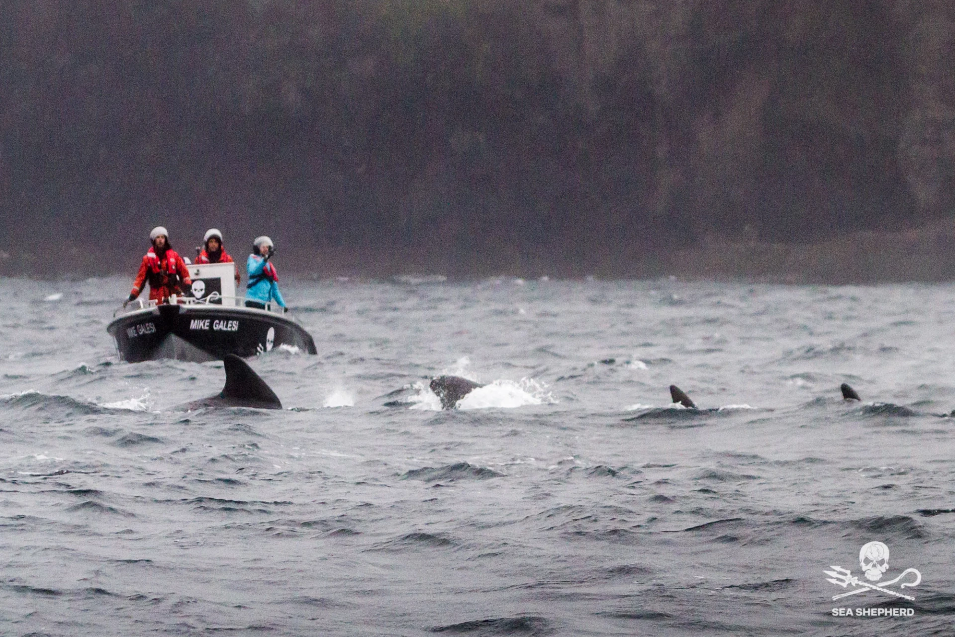 Marianna Baldo / Sea Shepherd france rouen