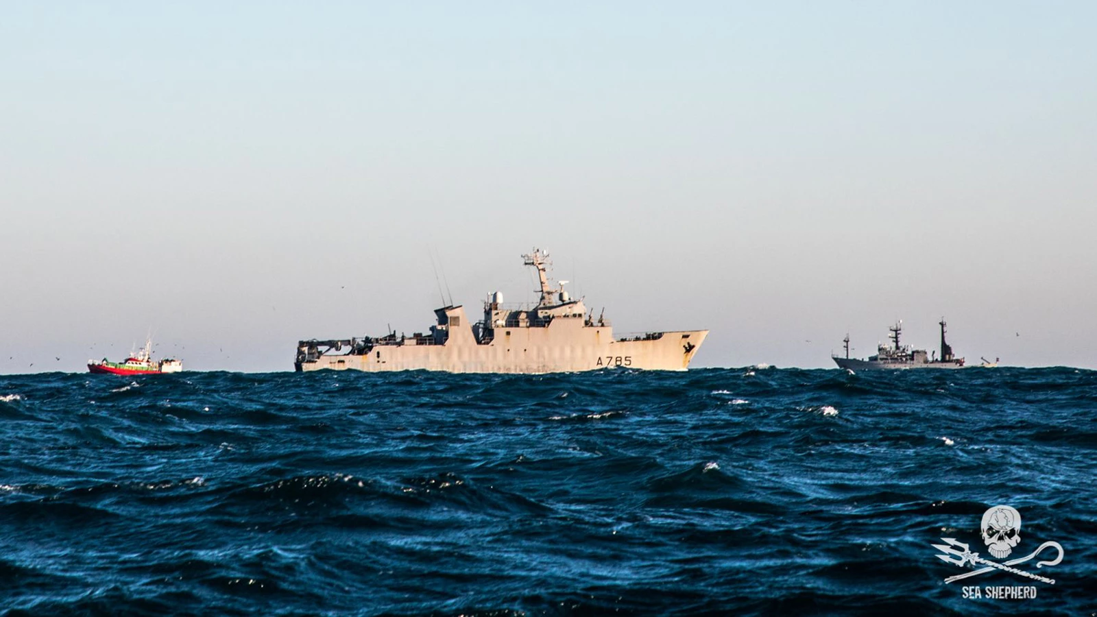 Sea Shepherd sous haute surveillance association|Sea Shepherd sous haute surveillance france|Sea Shepherd sous haute surveillance dons|Sea Shepherd sous haute surveillance pecheur|Sea Shepherd sous haute surveillance france