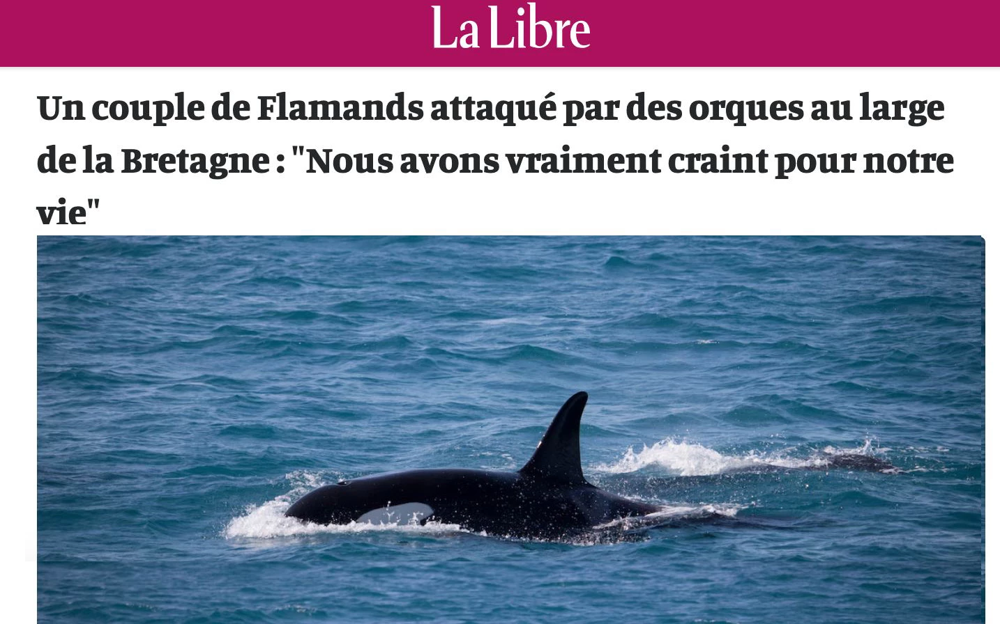 orques attaque racoleur interaction putaclic|orques attaque racoleur interaction putaclic|orques attaque racoleur interaction putaclic|orques attaque racoleur interaction putaclic