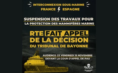 interconnexion france espagne RTE