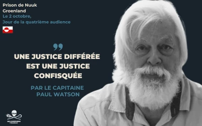 Justice différée confisquée Paul Watson Nuuk Groenland prison juge|Justice différée confisquée Paul Watson Nuuk Groenland prison juge