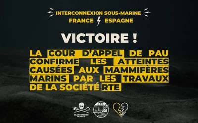 interconnexion france espagne RTE|interconnexion france espagne RTE