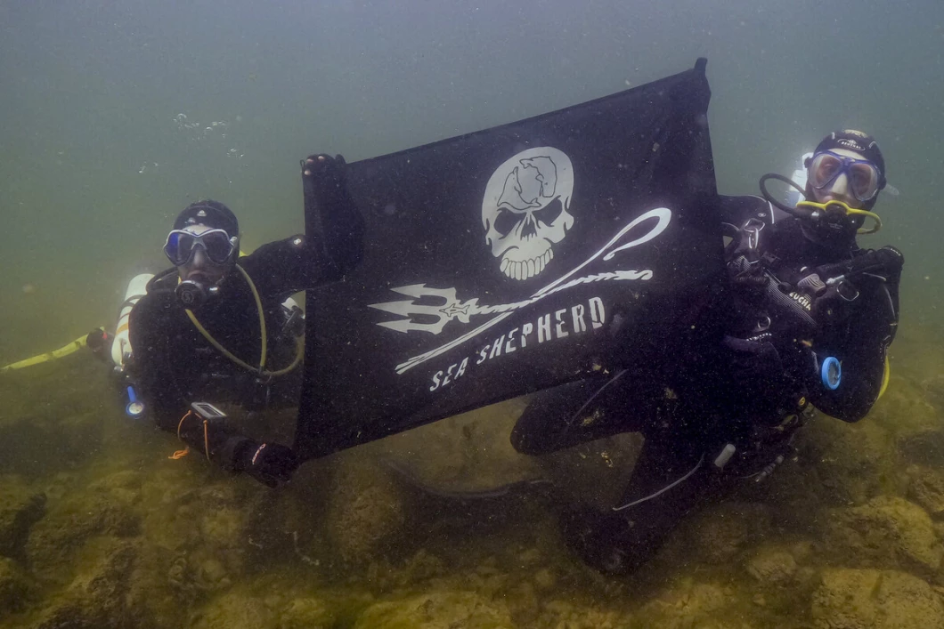 plongée Mare Nostrum