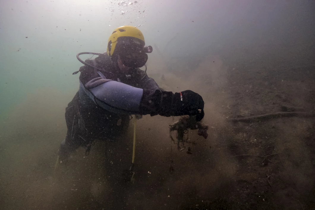 plongee Sea Shepherd Dive France