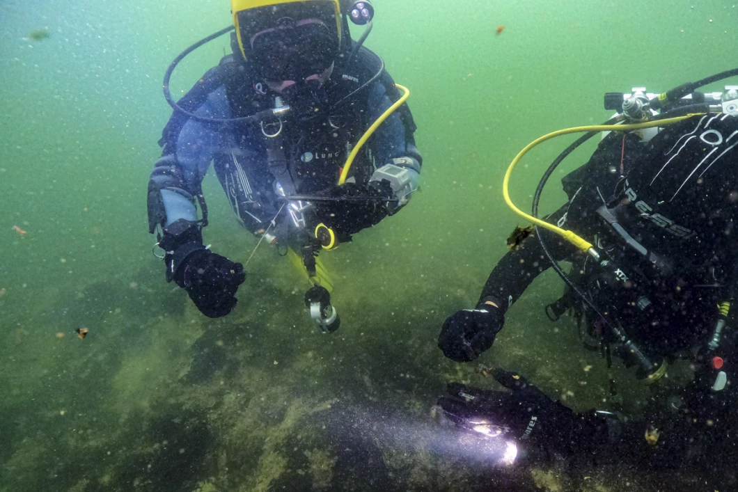 sea shepherd dive france