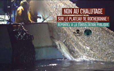 Pêche au Chalut interdite sur le plateau de Rochebonne : La mobilisation paye !