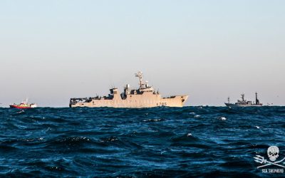 Sea Shepherd sous haute surveillance