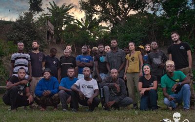 Braconnage de tortues à Mayotte : NON Sea Shepherd ne rejoindra pas la coordination mise en place par le Préfet