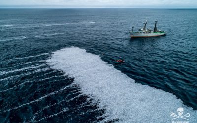 Sea Shepherd répond à l’armateur du Margiris