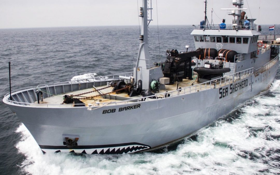 Sea Shepherd victime d’attaques en mer en France