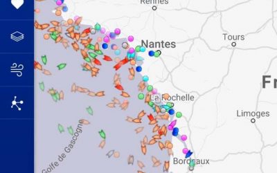 Confinement : Pas de répit pour les dauphins
