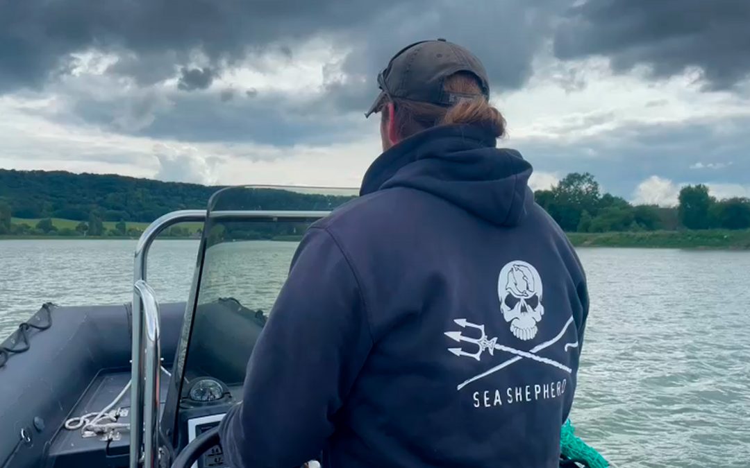 -Sea Shepherd - Orque dans la Seine france