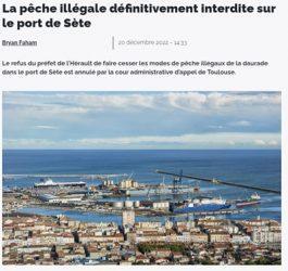 Pêche illégale de jeunes daurades dans le port de Sète : Sea Shepherd France gagne son bras de fer contre l’État.