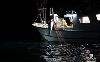 Sea Shepherd France retourne sur les zones de pêche et filme deux dauphins capturés dès la première sortie en mer