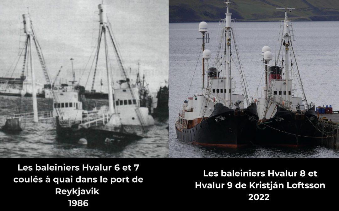 Le capitaine Paul Watson propose de racheter les deux derniers baleiniers islandais
