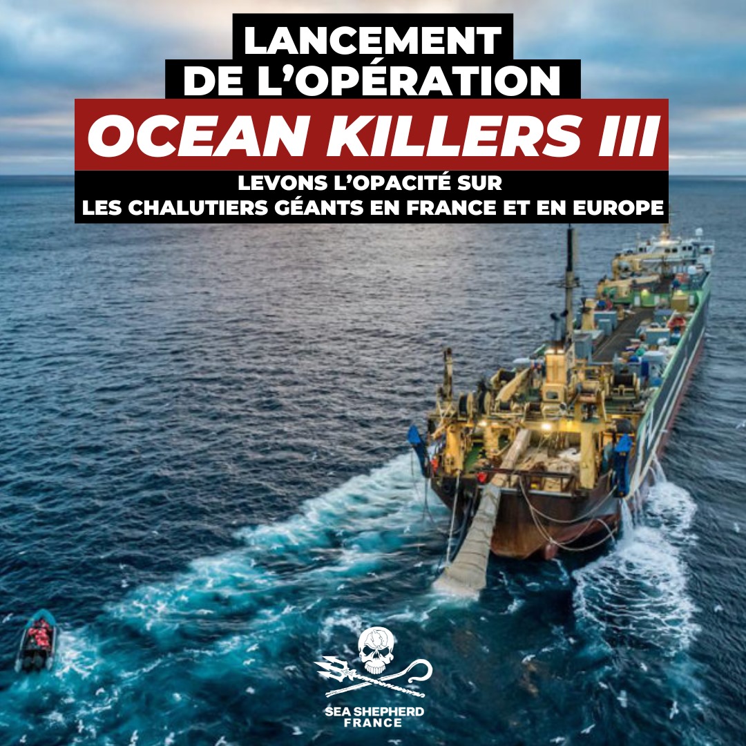 ocean killers navires-usines