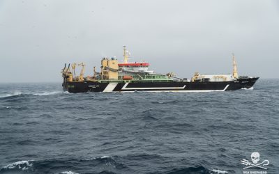 Saint-Malo : le sous-préfet refuse un quai public à Sea Shepherd France pour ne pas froisser les armateurs du « navire de l’Enfer »