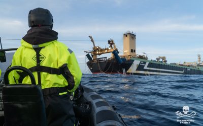 Refus d’un quai public à Sea Shepherd au port de Saint-Malo : le sous-préfet n’assume pas d’être intervenu et Ouest-France fait un article à charge sans nous consulter