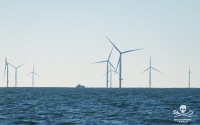 4 ONG déposent un recours contre l’État pour le forcer à corriger sa stratégie sur l’éolien offshore