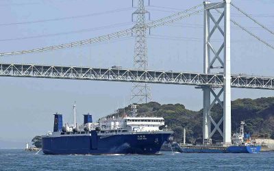 LE JAPON SE LANCE À L’ASSAUT DES BALEINES, RETOUR SUR LE FRONT