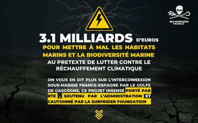 Projet d’interconnexion France-Espagne